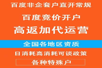 百度竞价代运营实战：某电商平台的销量翻倍秘诀